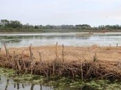 Экологи построили искусственный остров в Одесской области