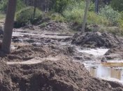 На Ривненщине из-за "черных копателей" остались без света свыше 600 жителей