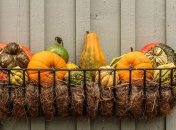 Осенний рацион: что нужно есть, что бы не заболеть