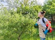 Підготовча обробка саду навесні просто необхідна