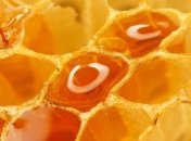 Молочно-медовая диета, которая подойдет всем