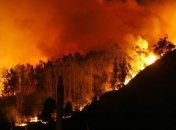 Лесной пожар вблизи Ялты удалось локализовать