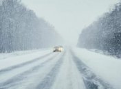 Эксперты ожидают мало снега и много дождей