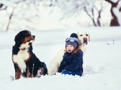 Некоторые регионы могут порадоваться настоящей зиме