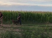 Полиция продолжает поиски полтавского преступника, который скрылся в лесу