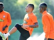 Шахтер является самой бразильской командой Лиги чемпионов