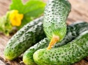 Медики объяснили, для чего необходимо есть огурцы каждый день