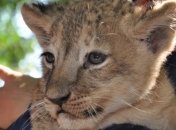 Одесский зоопарк празднует свой 90-летний юбилей