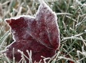 В Украину идут заморозки