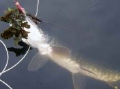 Украинские рыбаки соревнуются в Тернополе