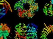 Ученые обнаружили ген, чувствительный к магнитному полю Земли