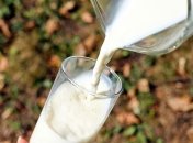 Як вживання молока впливає на тривалість життя