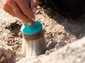 У побережья США обнаружили останки странного существа