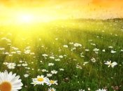 Эксперты назвали самый жаркий год в истории