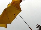 В Киеве ожидается сильный порывистый ветер