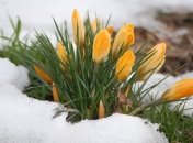 12 марта. Приметы дня