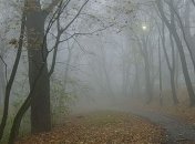 В Украине кардинально изменится погода