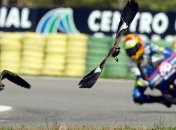 Участников Олимпийских игр в Рио поселят на гоночной трассе 