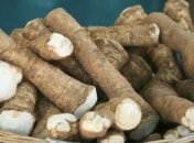 Эксперты рассказали, о пользе хрена для здоровья