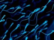 Спермограма, як важливий аналіз для чоловіків