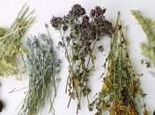 Пополняем свою аптечку лекарственными травами