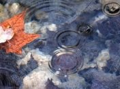 Синоптик сказала, когда в Украину придет существенное осеннее похолодание