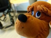 Немцы помогут киевскому центру круглосуточного ухода за детьми