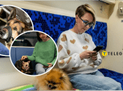 В УЗ дозволили перевозити великих тварин