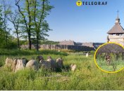 Острів Хортиця