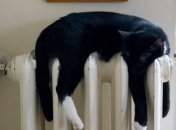 Предела больше нет: Кабмин отменил постановление о максимальных тарифах на тепло 