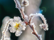 В ближайшие выходные погода будет непредсказуема