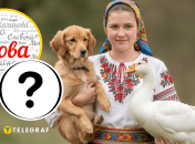 Украинка, пес, гусь