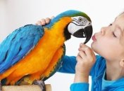 Экзотические животные и дети: чем может быть опасно держать дома такого питомца