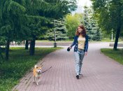 Безответственные владельцы животных могут предстать перед судом