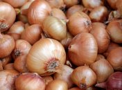 Лук на зиму нужно размещать правильно