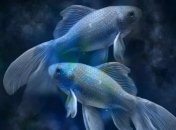 На які знаки Зодіаку очікують неймовірні зміни у 2020 році