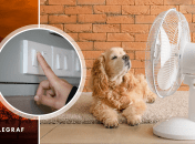 Несподівану причину відсутності відлючень назвав Андрій Закревський