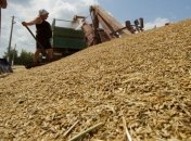 В Украине уже намолочено 37,6 млн т зерна