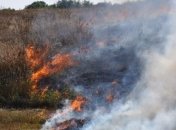 Масштабное возгорание травы произошло на Полтавщине