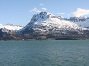 На Аляске нашли останки неизвестного морского существа