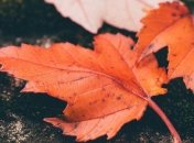 Приметы и обряды на 6 октября - Ираидин день, День Иоанна