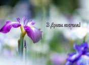 Разобрались, кого поздравляем с Днем ангела 26 июня