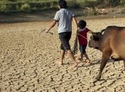 На юго-западе Китая от засухи страдают свыше 17 млн человек