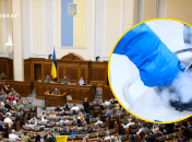 За что проголосовали в Верховной Раде