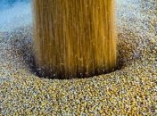 В Китае в уходящем году собрано почти 590 млн т зерновых 