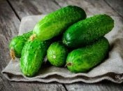 Щоб огірки не гірчили, їх потрібно добре поливати.