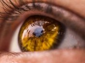 Ученые смогут изменять цвет глаз человека