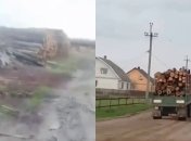 Злочин проти людства: на Волині показали масштаби вирубки лісу