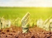 Підводні камені земельного ринку: як в Україні оцінюють землю, та де вона найдорожча (інфографіка)