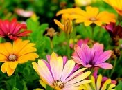 Бабье лето уже в пути: "солнечный" прогноз погоды на 13-14 сентября